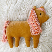 Load image into Gallery viewer, Clementine pony
