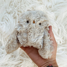 Load image into Gallery viewer, Storm the Owlet
