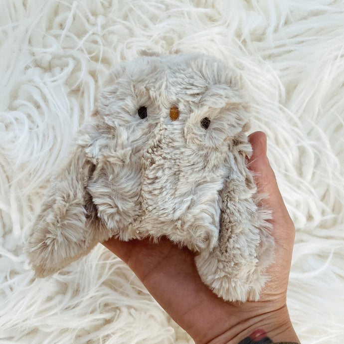 Storm the Owlet