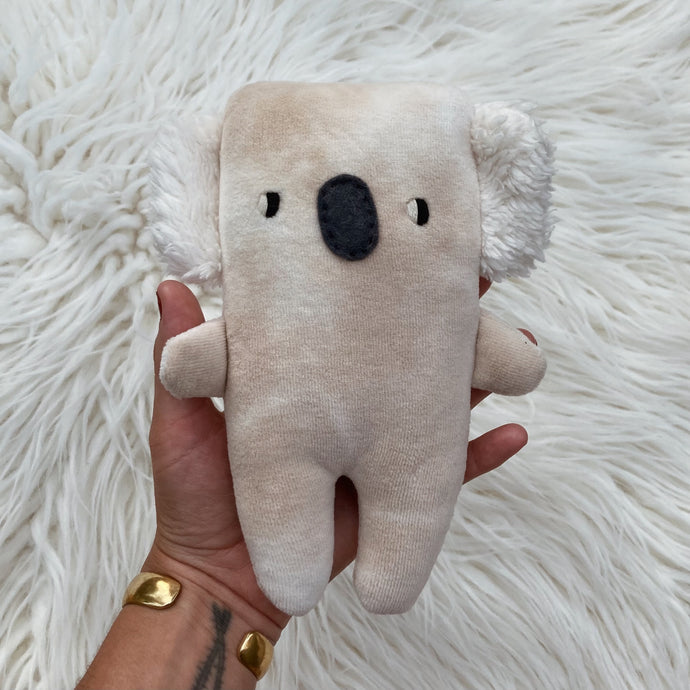 Cloudy Koala