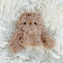 Load image into Gallery viewer, Cocoa the Owlet
