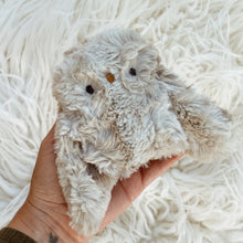 Load image into Gallery viewer, Storm the Owlet
