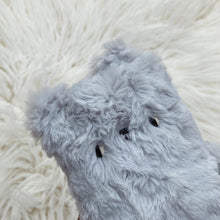 Load image into Gallery viewer, Sky Bear
