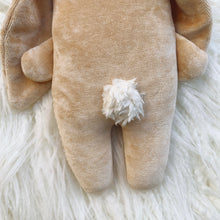 Load image into Gallery viewer, Strawberry Shortcake Bunny -organic velvet big bunny
