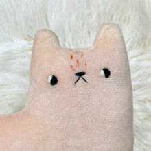 Load image into Gallery viewer, Cotton Candy Cat
