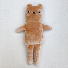 Load image into Gallery viewer, Pumpkin Spice Bear
