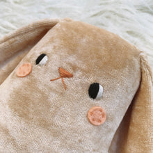 Load image into Gallery viewer, Strawberry Shortcake Bunny -organic velvet big bunny
