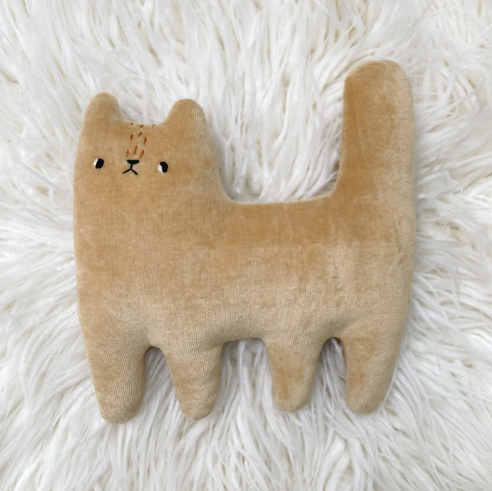 Almond Cat