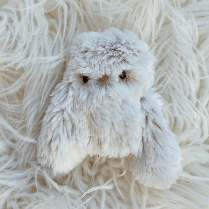 Marshmallow the Owlet