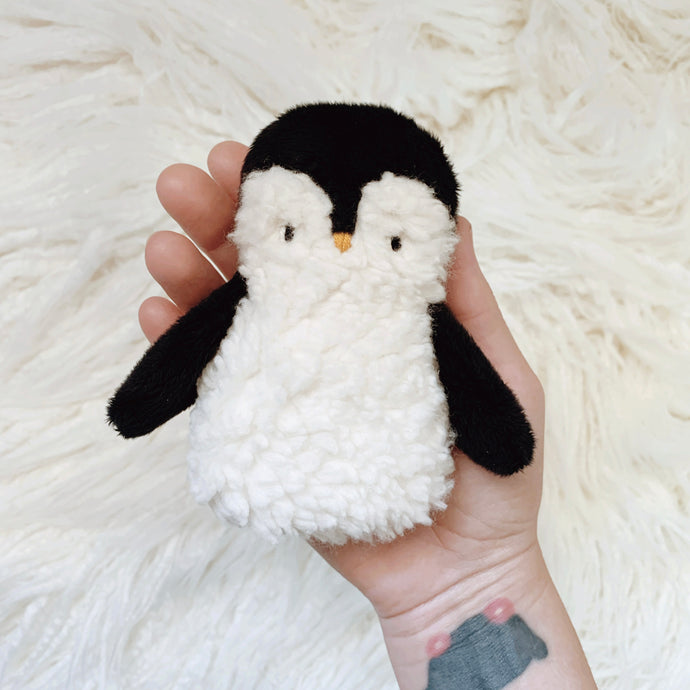 Pip the baby penguin