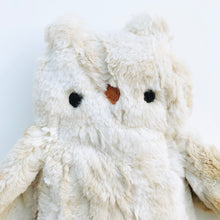 Load image into Gallery viewer, Fletcher the Owl
