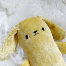 Load image into Gallery viewer, Marigold the lop-eared bunny
