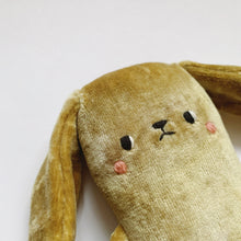 Load image into Gallery viewer, Avocado the lop-eared bunny

