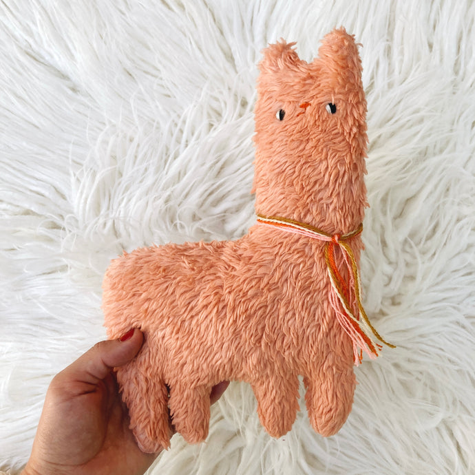 Fruit Punch Alpaca