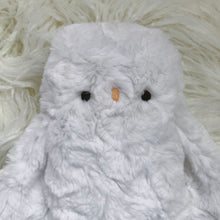 Load image into Gallery viewer, Coconut the big owl
